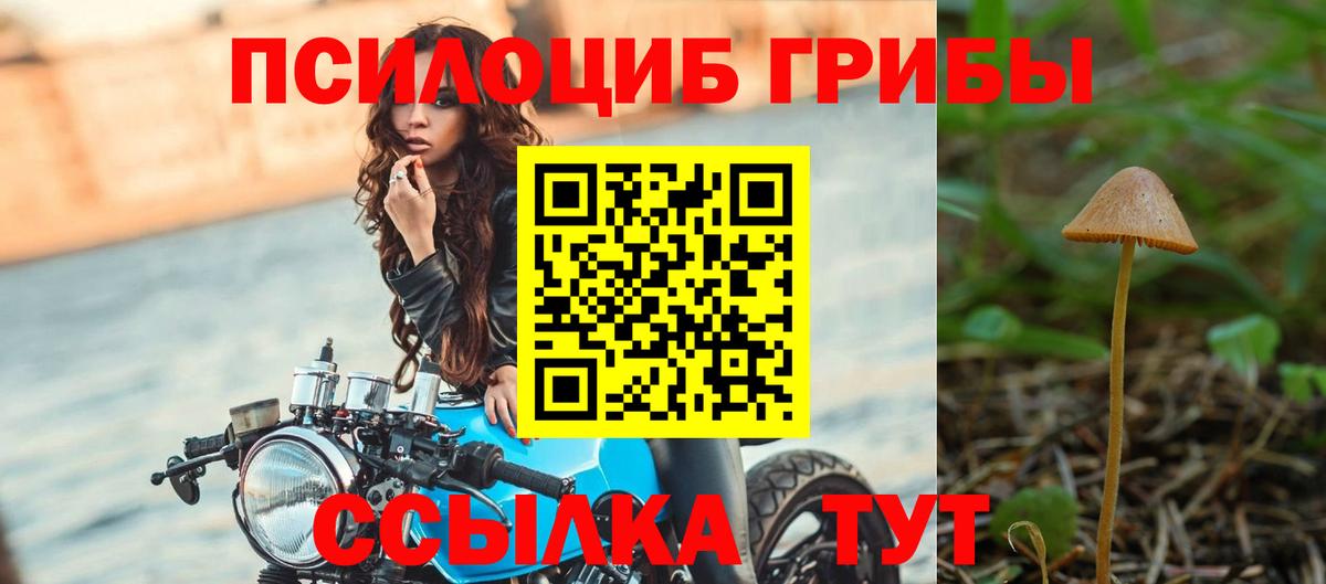 Саров  Псилоцибиновые грибы MAGIC MUSHROOMS  где купить наркотик  Галлюциногенные грибы мицелий  Вход с VPN 